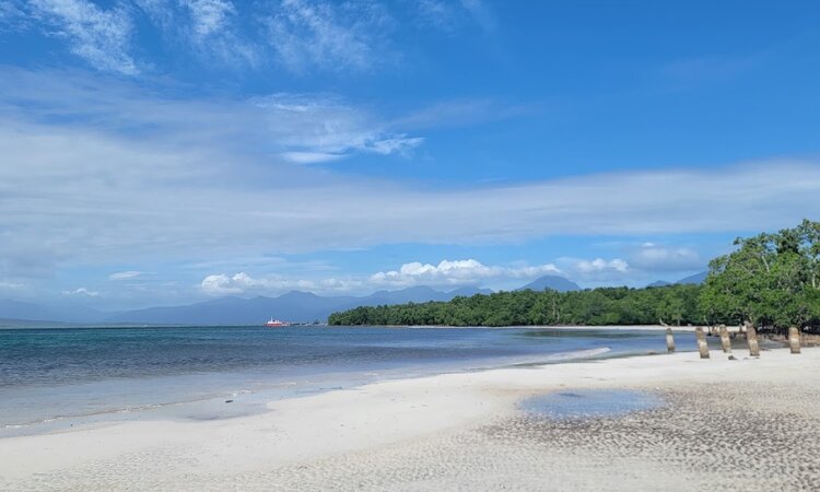 prestinebeachpuertoprincesacity